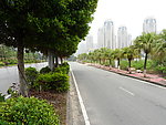 马路