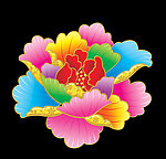 牡丹