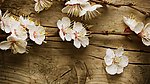 梅花
