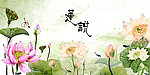 荷花