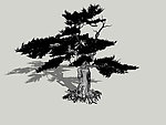 古松3D模型