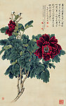 牡丹