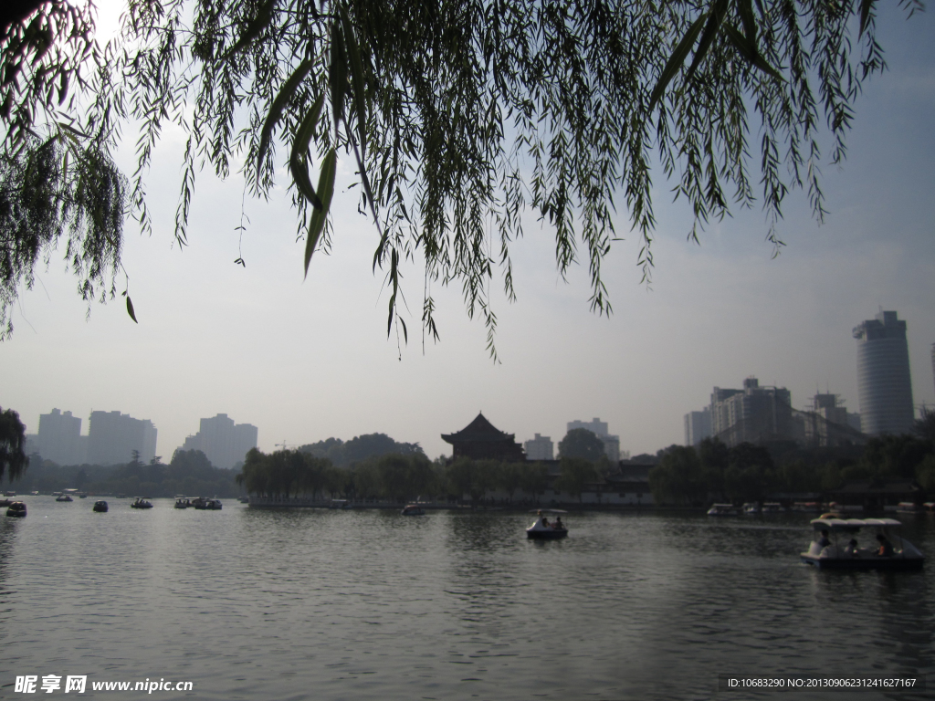 兴庆宫风景