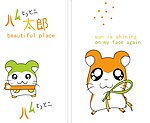面料设计 墙纸设计