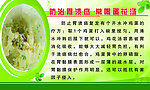 防治胃溃疡