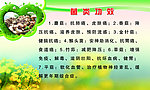 菌类功效