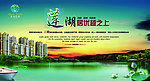 莲湖房地产