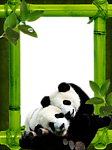 花样相框