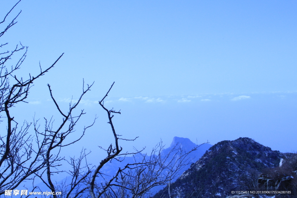 泰山