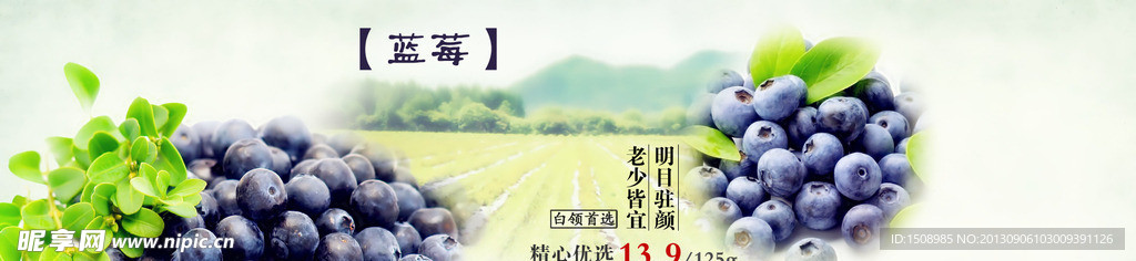 蓝莓 宣传海报