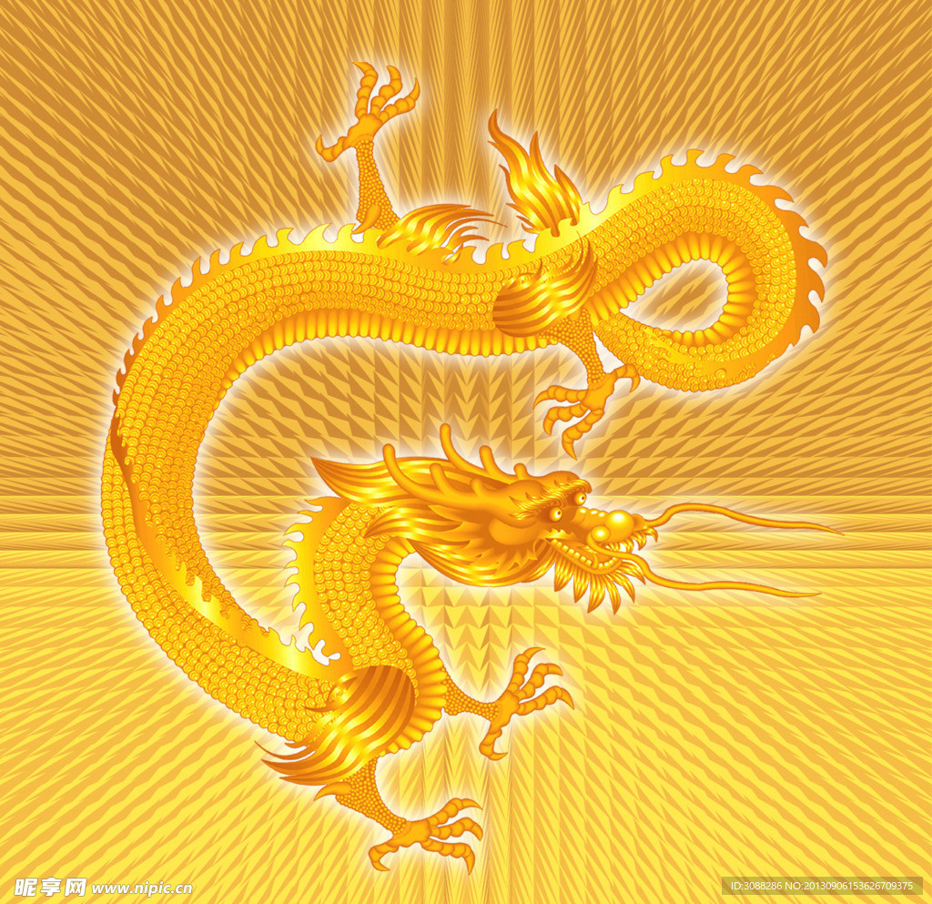 金龙