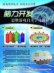 脑力开发彩页