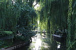 北京园林