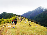 高原