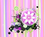 花纹 花边