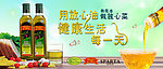 橄榄油广告