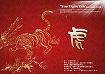 华南虎