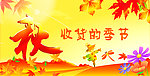 秋收季节