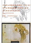 轻雾晨趣