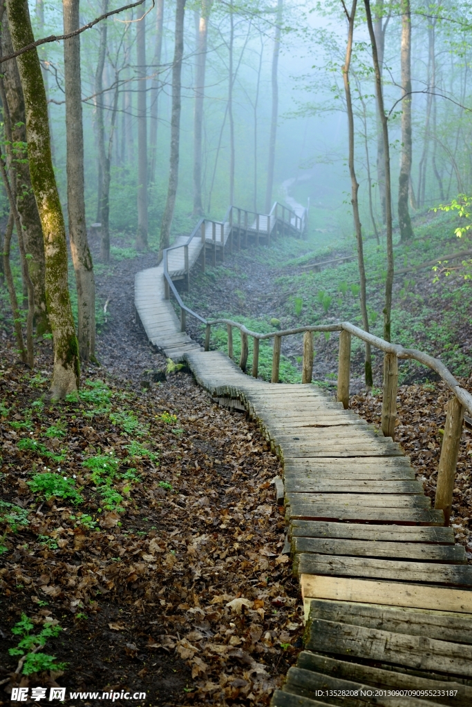 山路