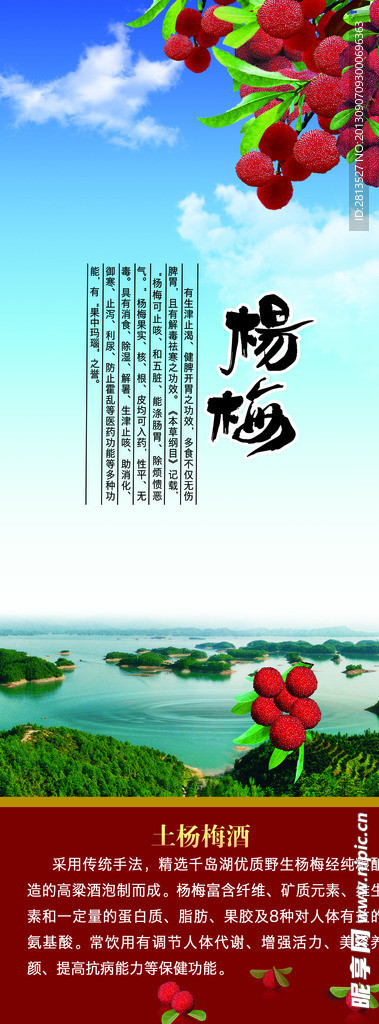 杨梅酒展板