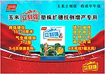 立刻强玉米海报