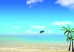大海 沙滩