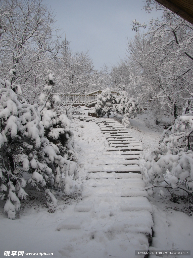 山上雪景