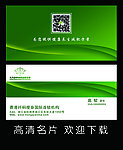 绿色高档简洁名片