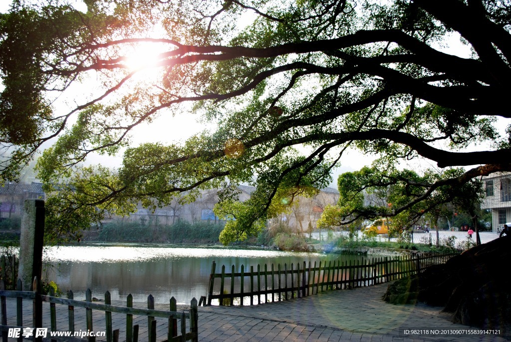 自然风景 阳光