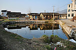 农村 池塘