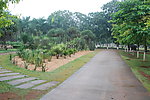 海口金牛岭公园风景
