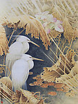 花鸟画（非高清）
