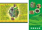凤凰单丛茶