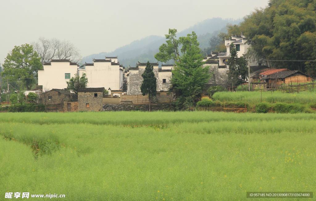 田园