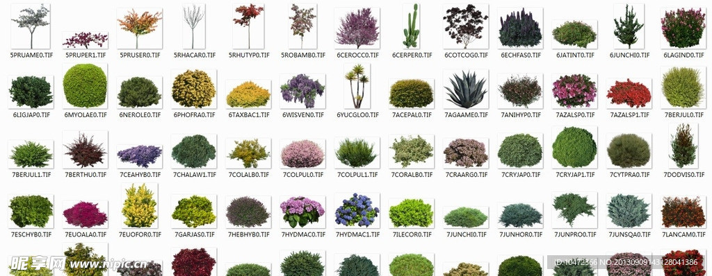 花草贴图