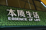 绿色生活