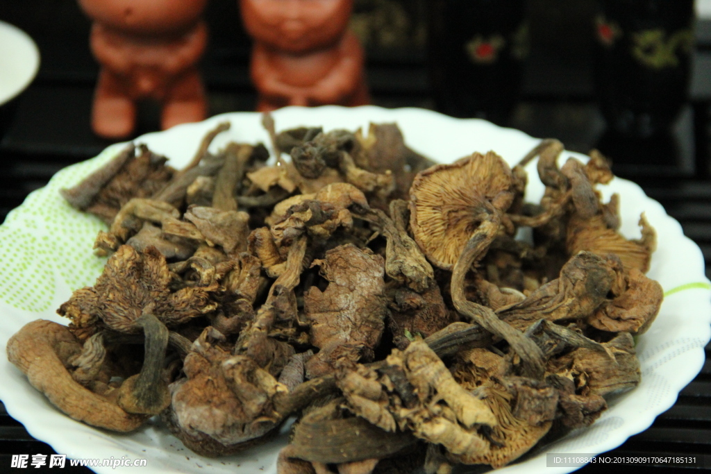 肉丛蓉