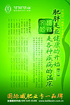 肥胖是亚健康的开始