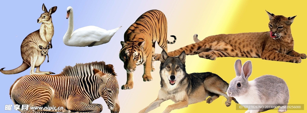 各类野生动物PSD源