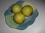 番石榴