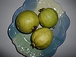 番石榴