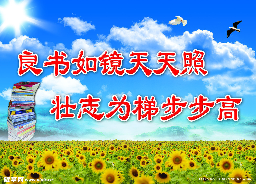 蓝天 白云 向日葵