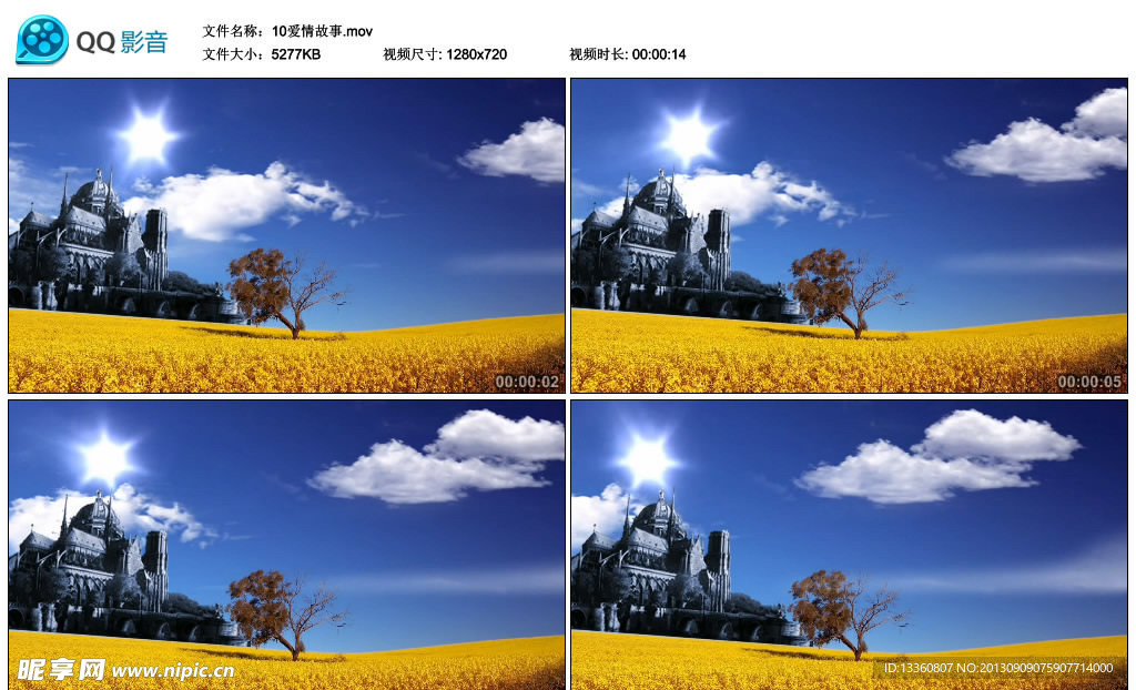 爱情故事黄色花海