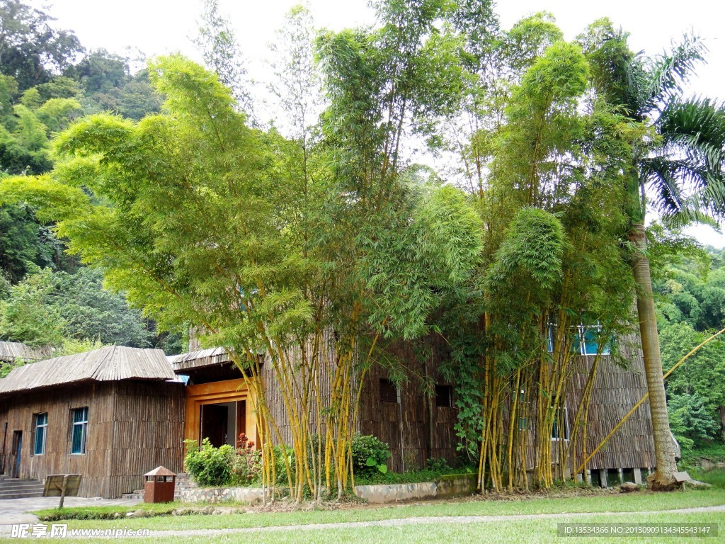 自然风景
