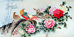 锦上添花