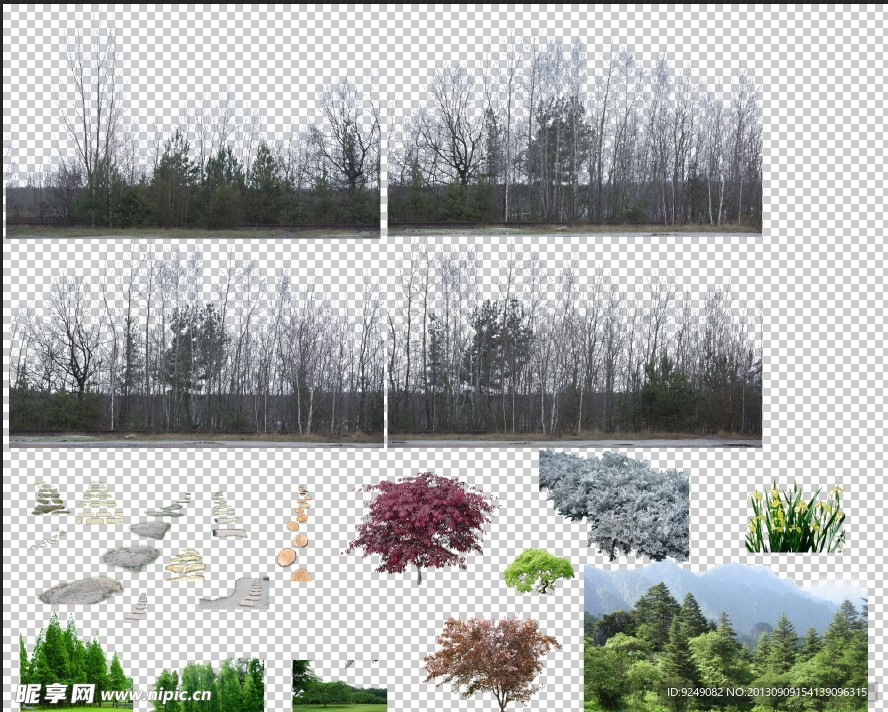 背景树 紫叶李 红枫 汀步