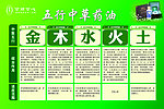 五行中草药油