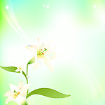 灯具图案 梦幻花纹