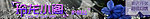 淘宝banner